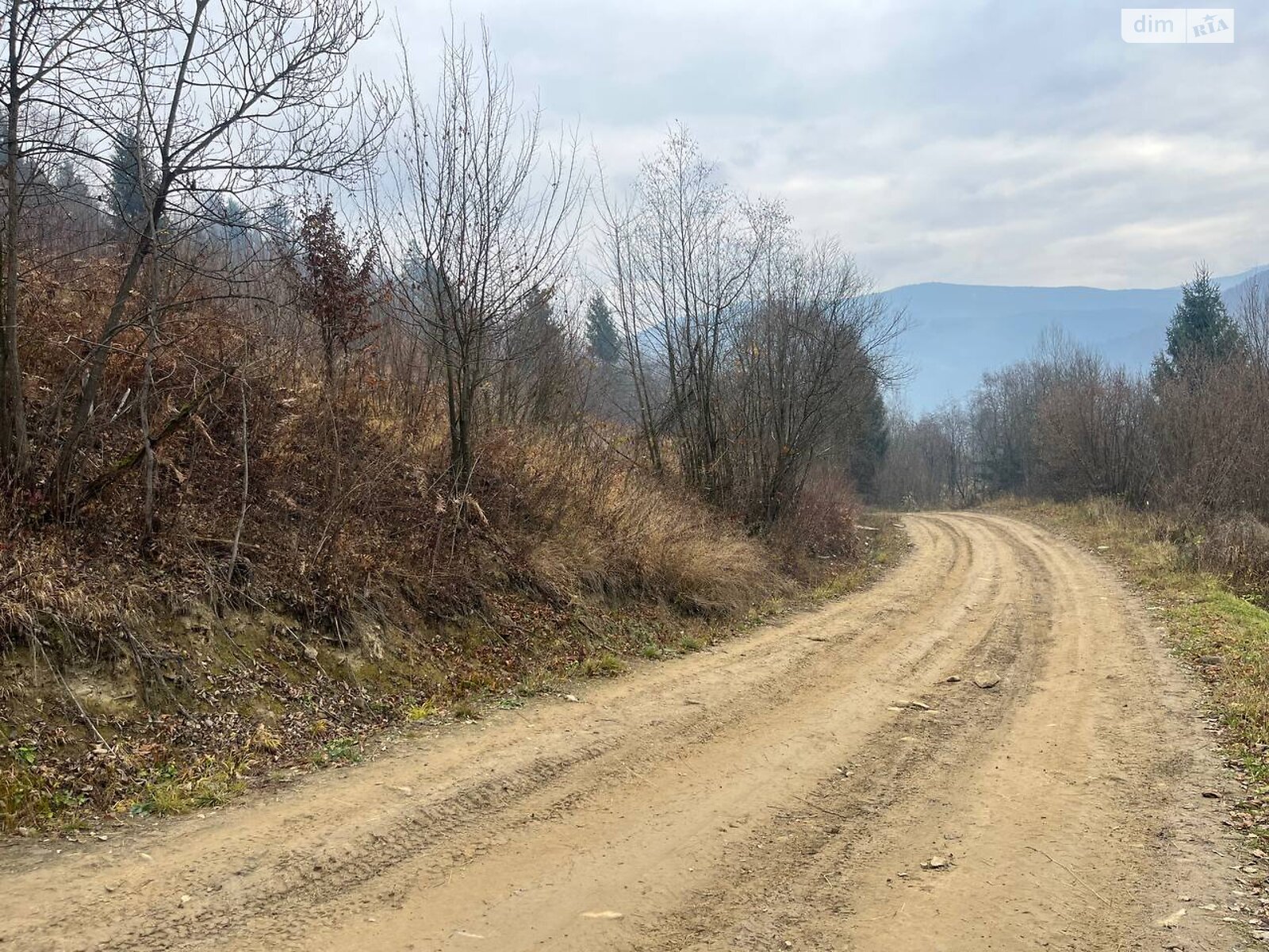 Земельна ділянка під житлову забудову в Богдані, площа 25 соток фото 1