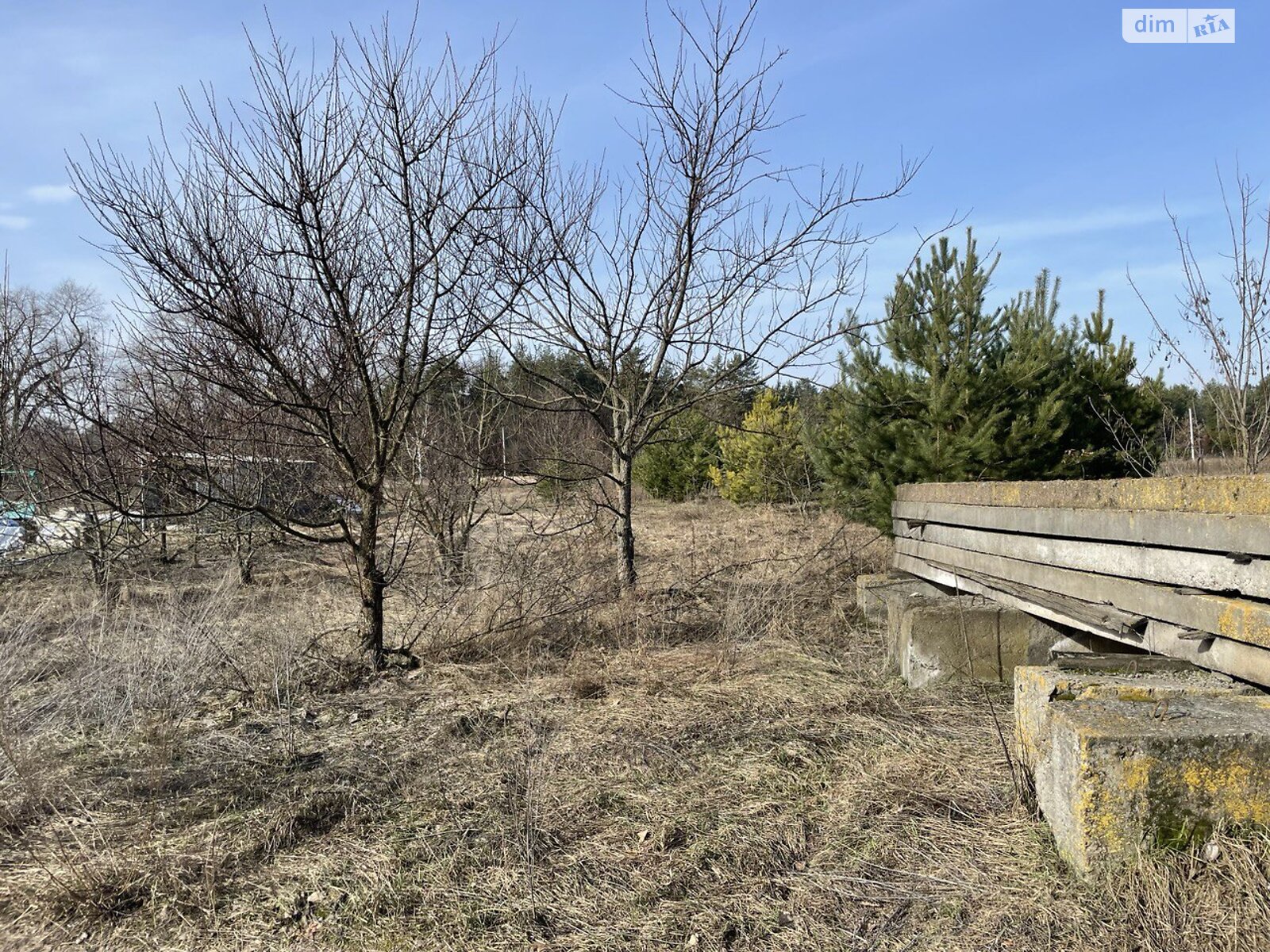 Земельна ділянка під житлову забудову в Богданівці, площа 0.2279 Га фото 1 Земельна ділянка під житлову забудову в Богданівці, площа 0.2279 Га фото 1