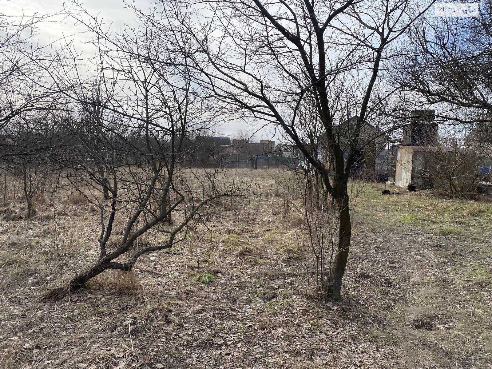 Земельна ділянка під житлову забудову в Богданівці, площа 20 соток фото 1