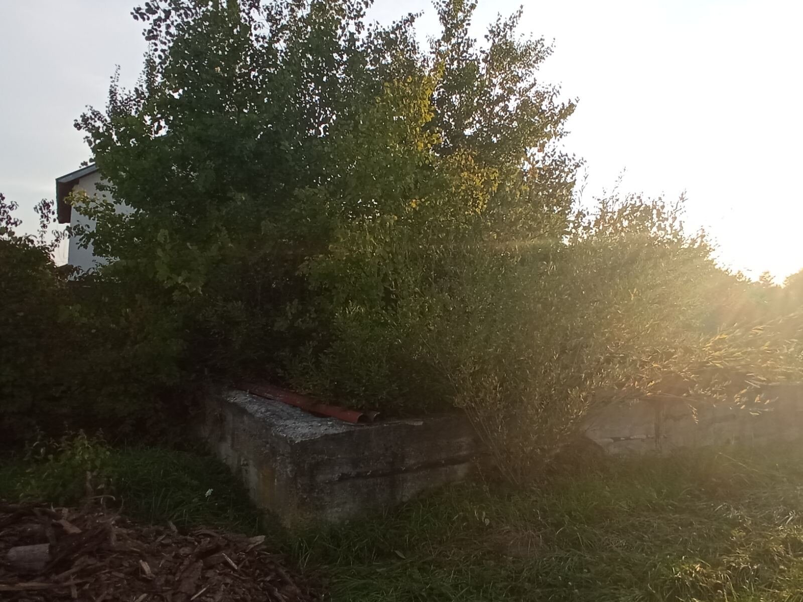 Земельный участок под жилую застройку в Богородчанах, площадь 12 соток фото 1 Земельный участок под жилую застройку в Богородчанах, площадь 12 соток фото 1