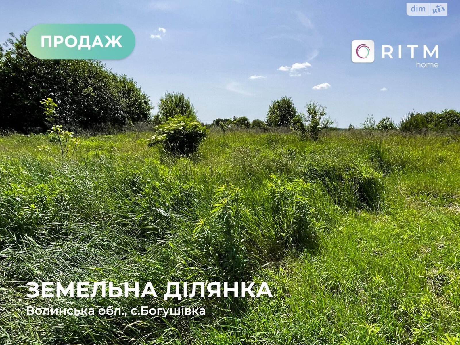 Земельный участок под жилую застройку в Богушовке, площадь 11.99 сотки фото 1 Земельный участок под жилую застройку в Богушовке, площадь 11.99 сотки фото 1