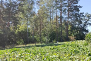 Земельна ділянка під житлову забудову в Бохониках, площа 22 сотки фото 2