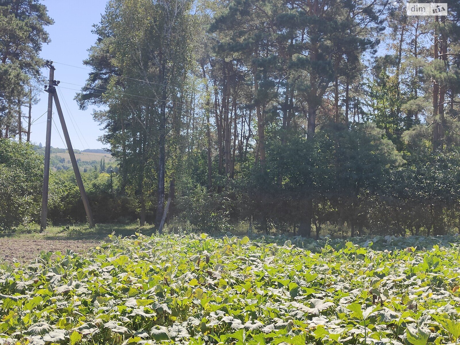 Земельна ділянка під житлову забудову в Бохониках, площа 22 сотки фото 1 Земельна ділянка під житлову забудову в Бохониках, площа 22 сотки фото 1