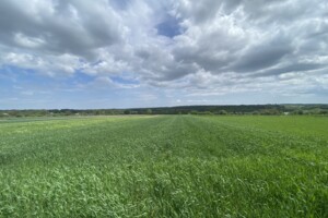 Земельна ділянка під житлову забудову в Бохониках, площа 11.78 сотки фото 2