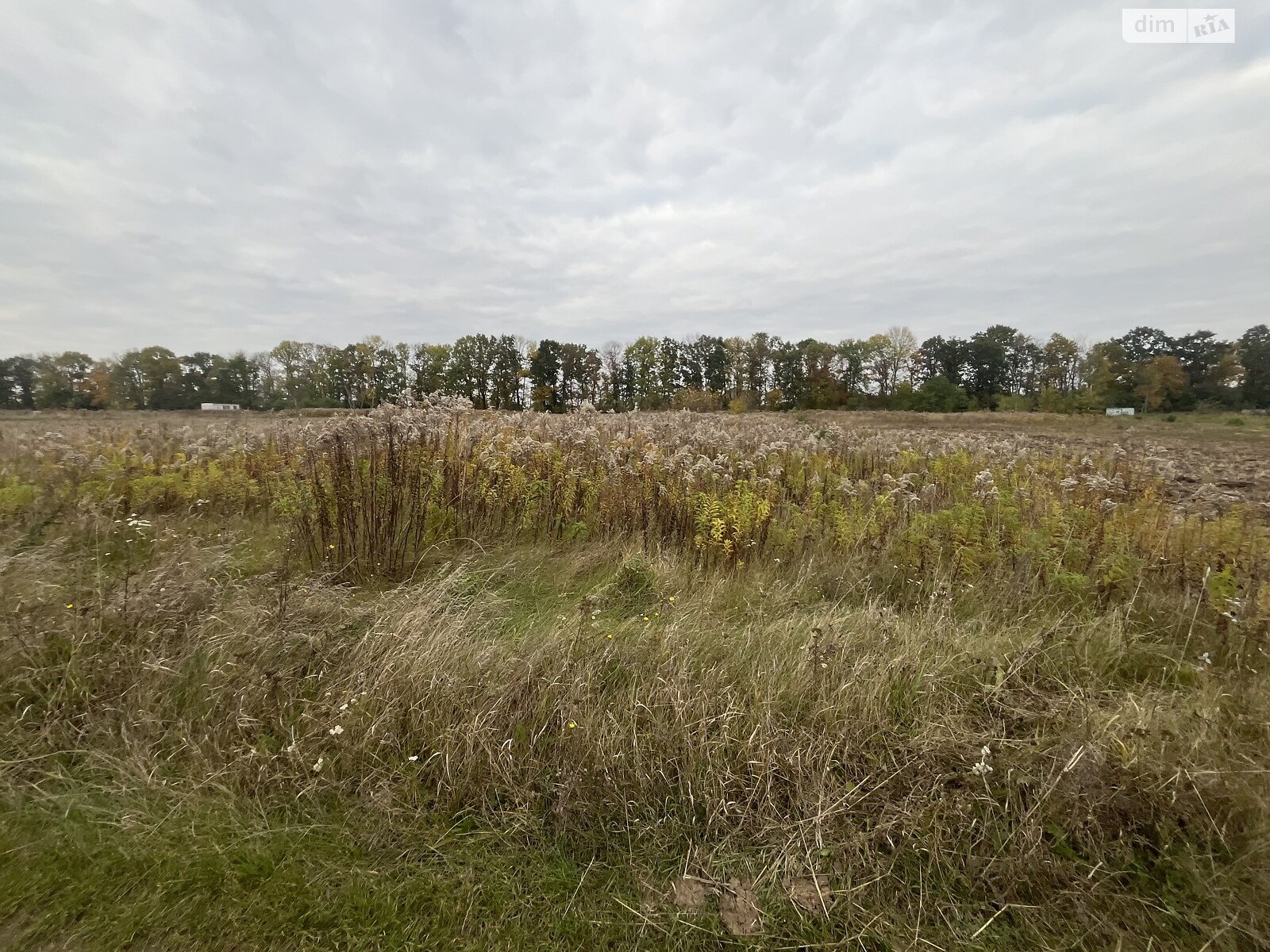 Земельный участок под жилую застройку в Бохониках, площадь 15 соток фото 1 Земельный участок под жилую застройку в Бохониках, площадь 15 соток фото 1