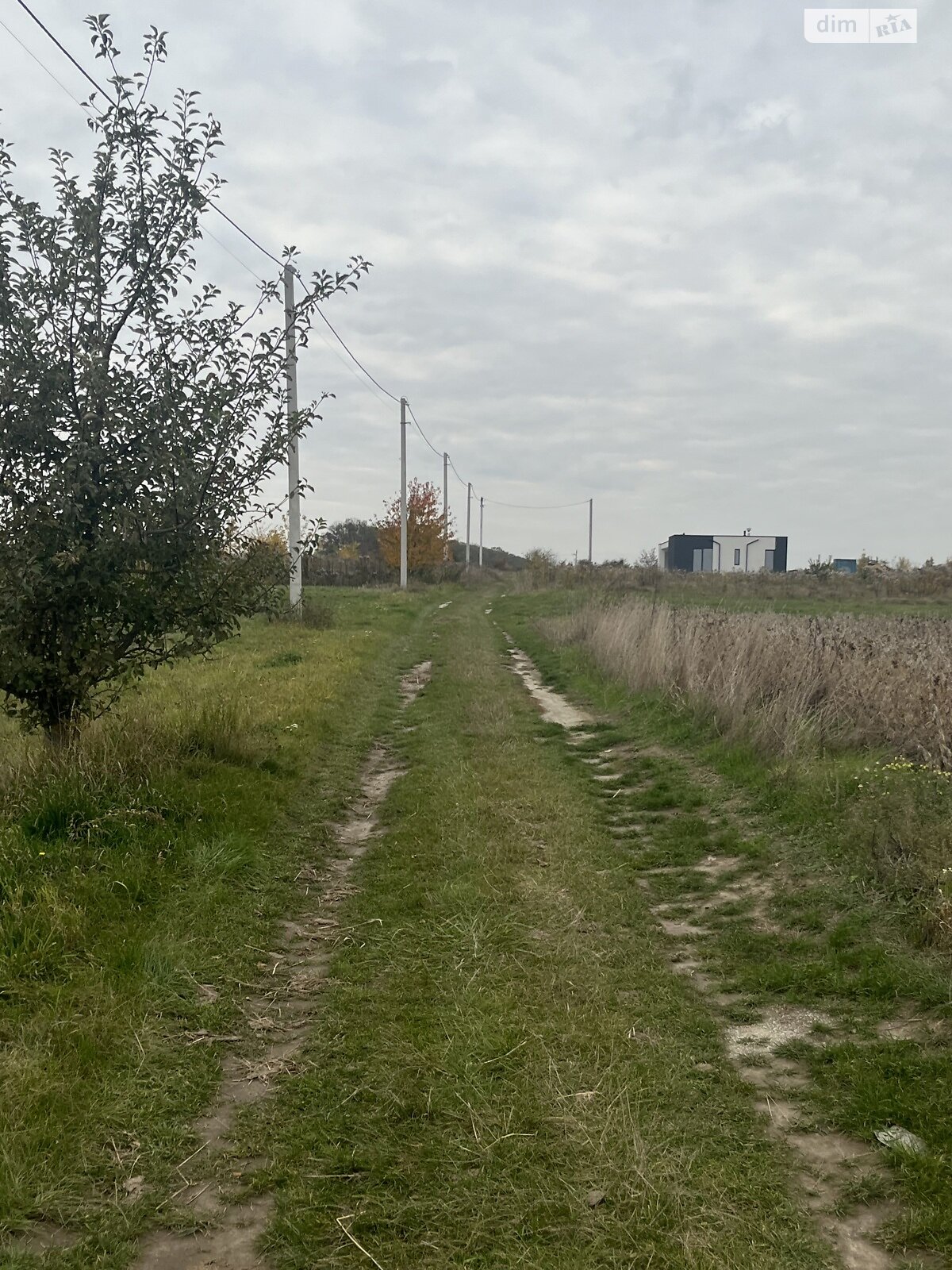 Земельный участок под жилую застройку в Бохониках, площадь 15 соток фото 1 Земельный участок под жилую застройку в Бохониках, площадь 15 соток фото 1