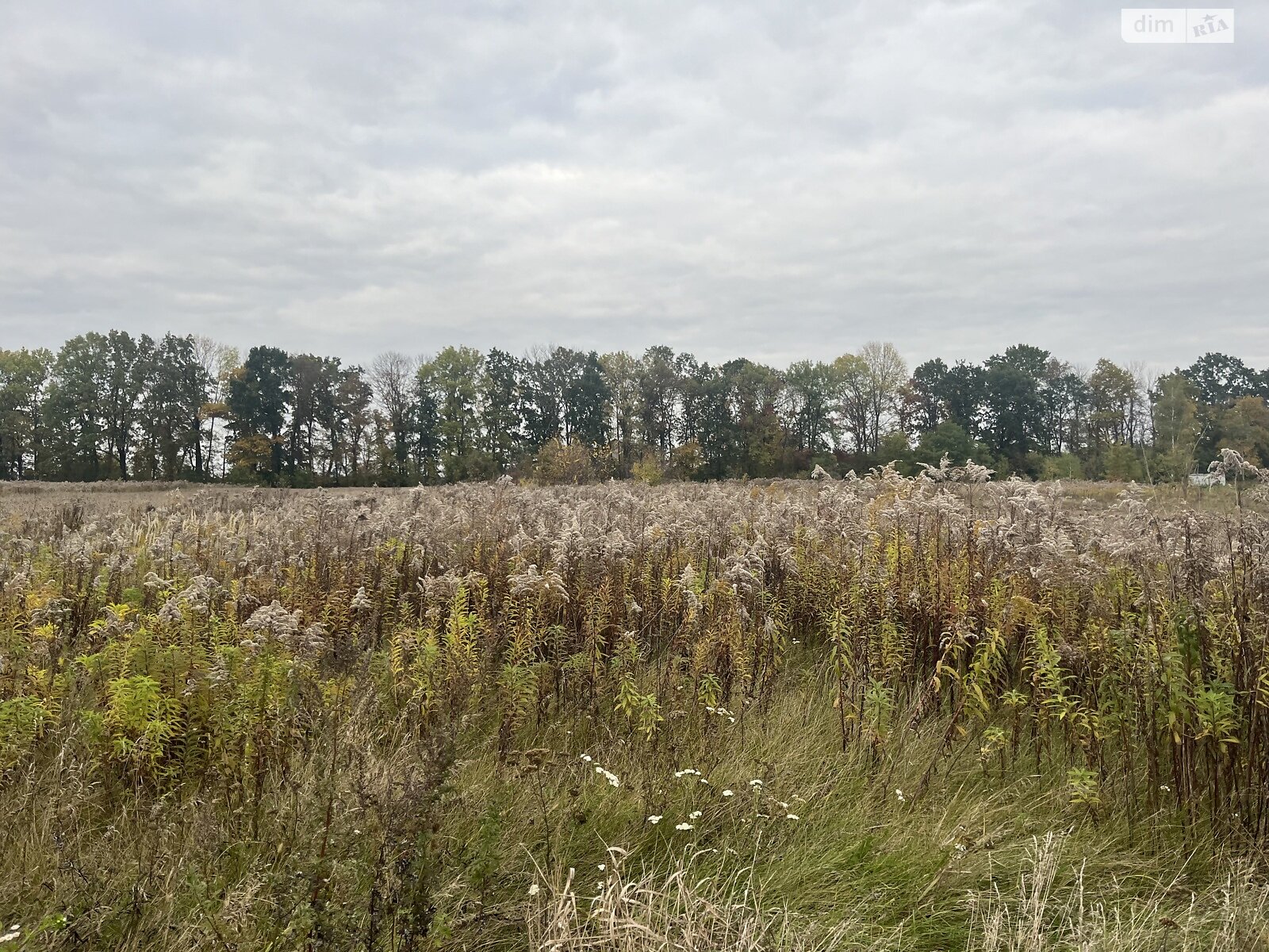 Земельный участок под жилую застройку в Бохониках, площадь 15 соток фото 1 Земельный участок под жилую застройку в Бохониках, площадь 15 соток фото 1