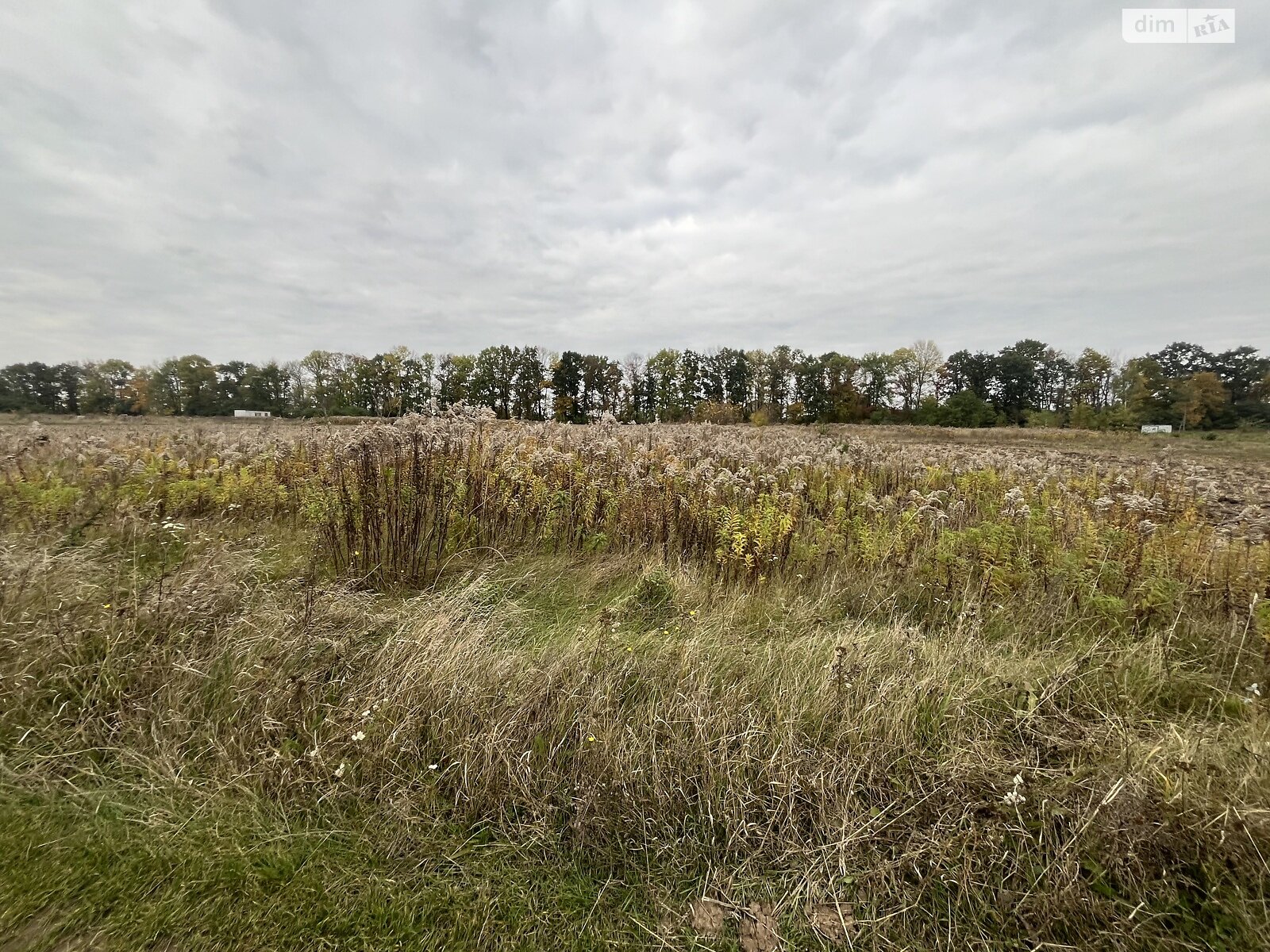 Земельный участок под жилую застройку в Бохониках, площадь 15 соток фото 1 Земельный участок под жилую застройку в Бохониках, площадь 15 соток фото 1