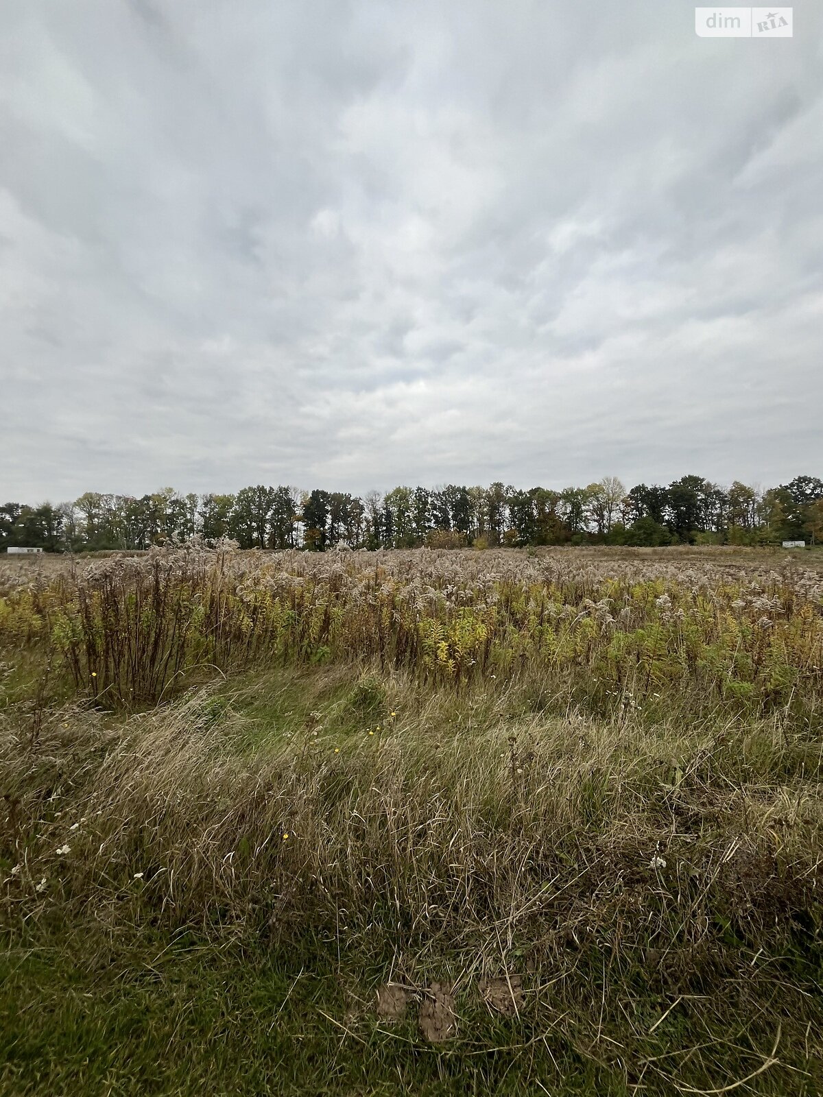 Земельный участок под жилую застройку в Бохониках, площадь 15 соток фото 1 Земельный участок под жилую застройку в Бохониках, площадь 15 соток фото 1