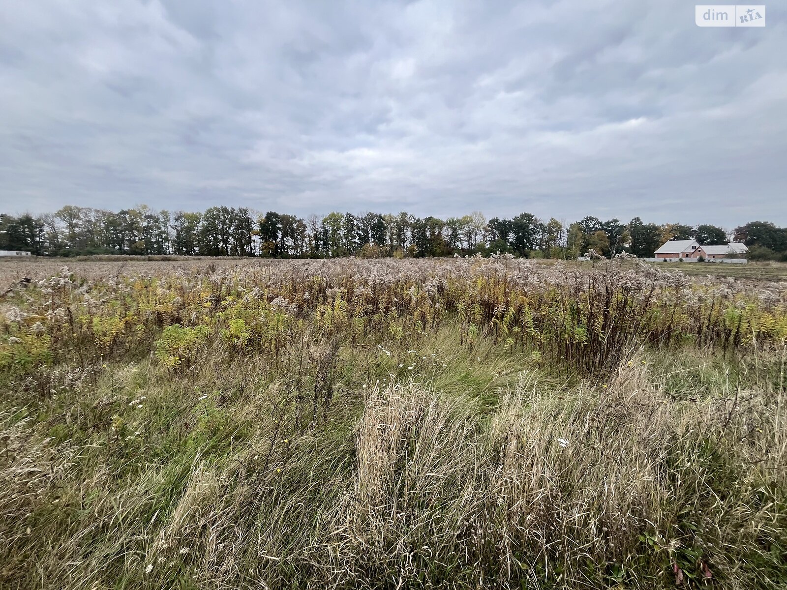 Земельный участок под жилую застройку в Бохониках, площадь 15 соток фото 1 Земельный участок под жилую застройку в Бохониках, площадь 15 соток фото 1