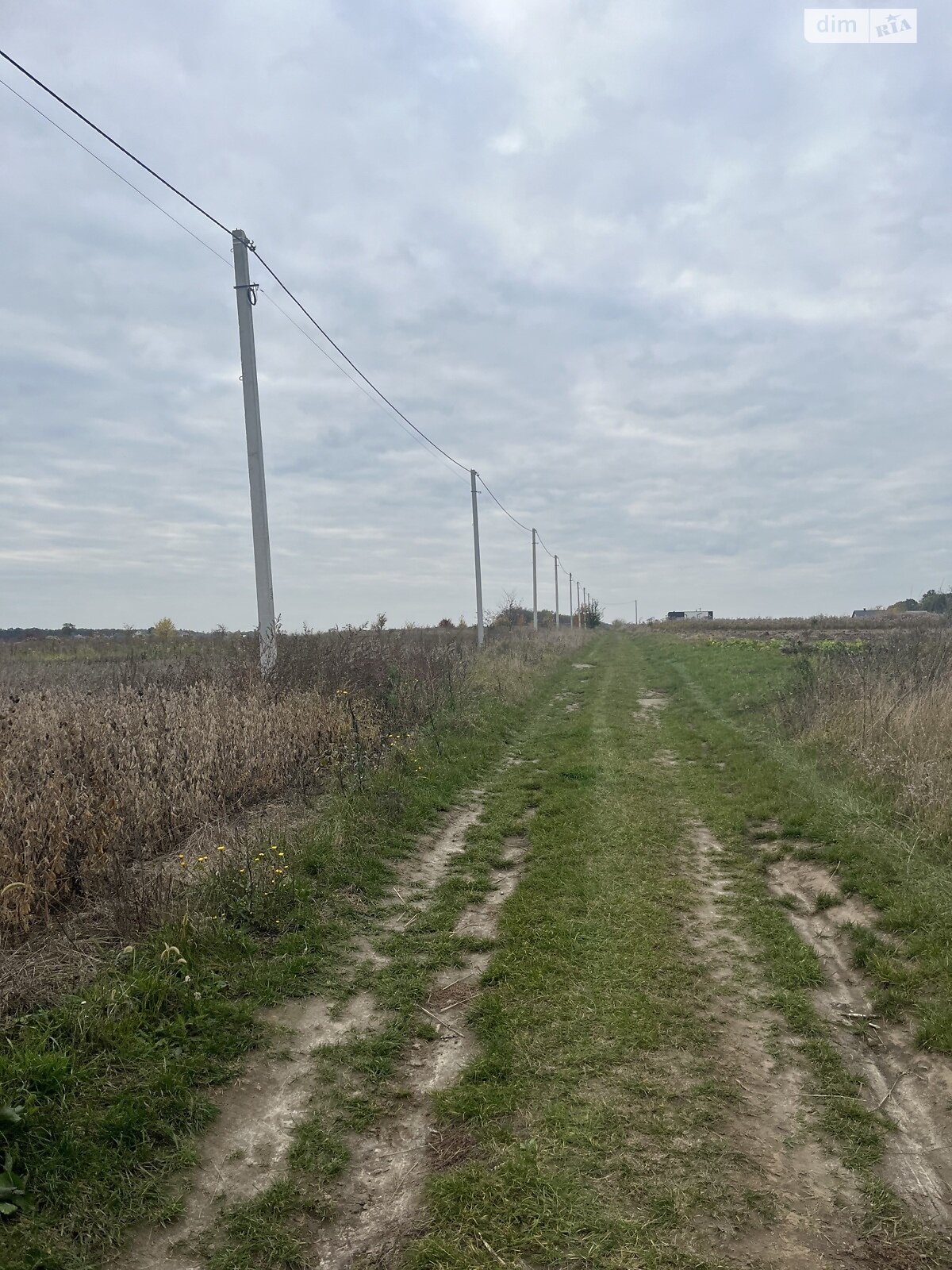 Земельный участок под жилую застройку в Бохониках, площадь 15 соток фото 1 Земельный участок под жилую застройку в Бохониках, площадь 15 соток фото 1