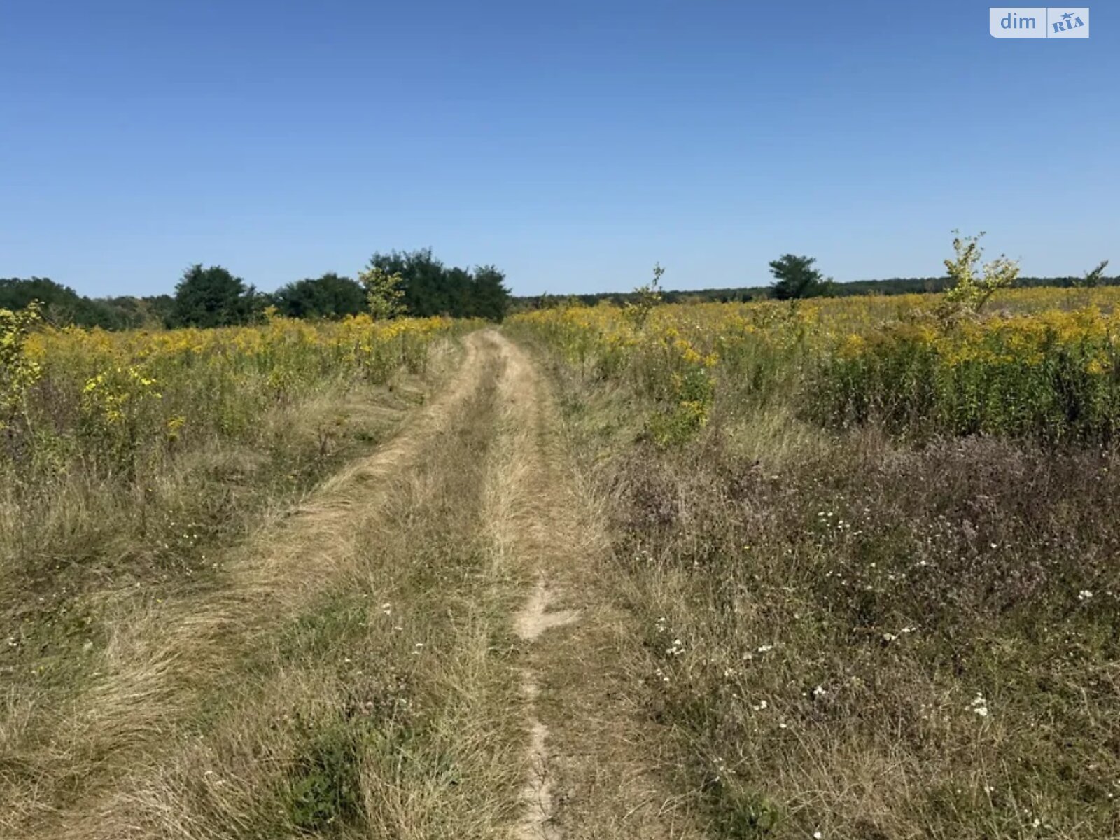 Земельна ділянка під житлову забудову в Бохониках, площа 10 соток фото 1 Земельна ділянка під житлову забудову в Бохониках, площа 10 соток фото 1