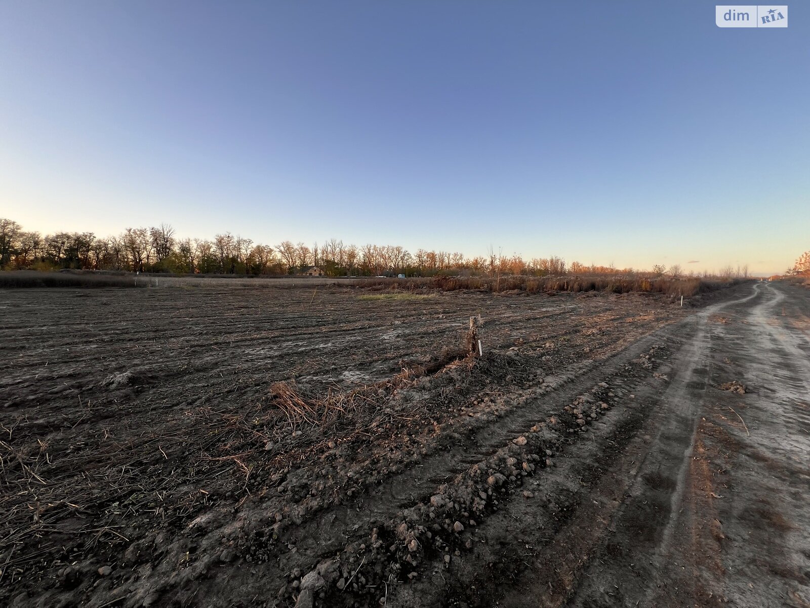 Земельный участок под жилую застройку в Бохониках, площадь 16 соток фото 1