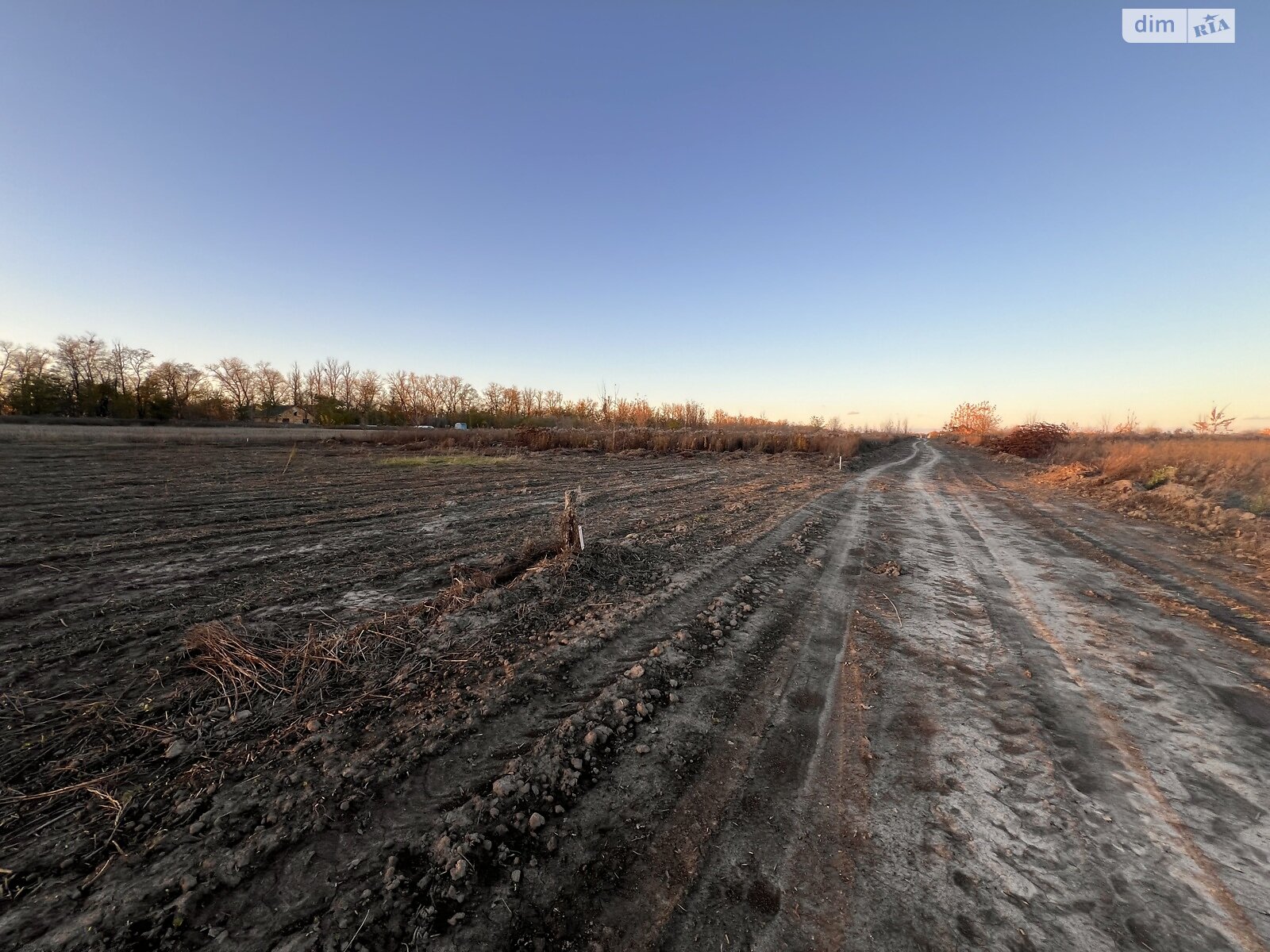 Земельный участок под жилую застройку в Бохониках, площадь 16 соток фото 1