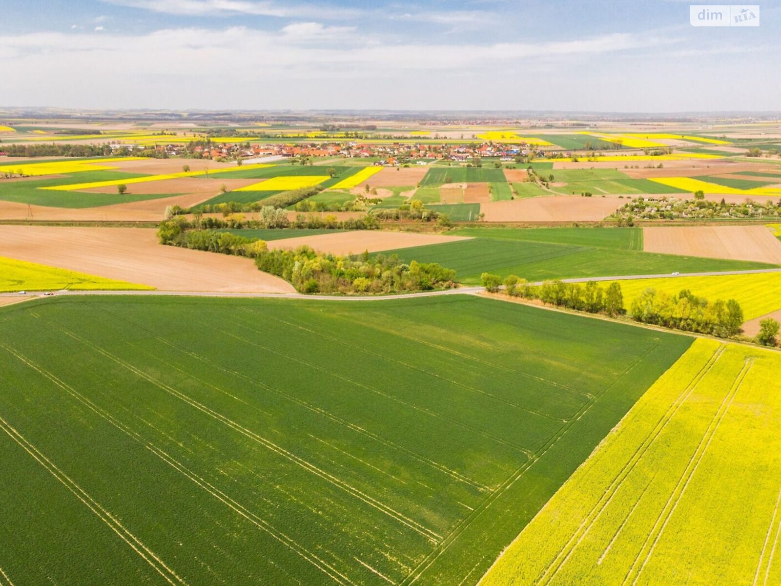 Земельна ділянка під житлову забудову в Боратині, площа 31 сотка фото 1