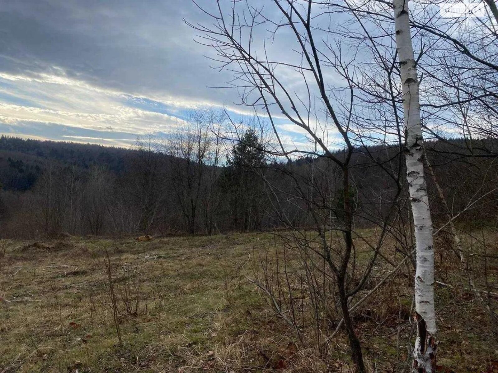 Земельна ділянка під житлову забудову в Бориславі, площа 32.14 сотки фото 1