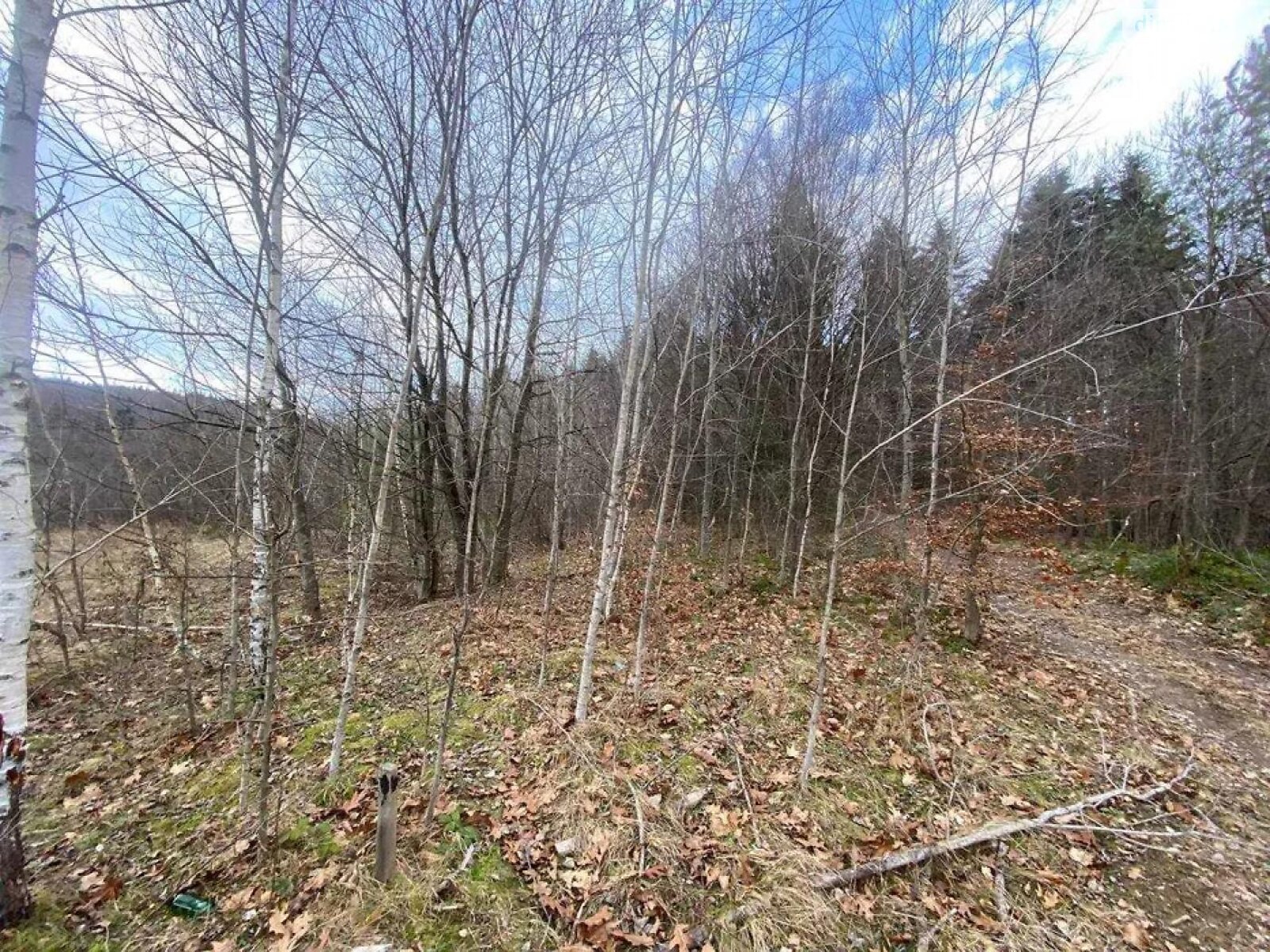 Земельна ділянка під житлову забудову в Бориславі, площа 32.14 сотки фото 1