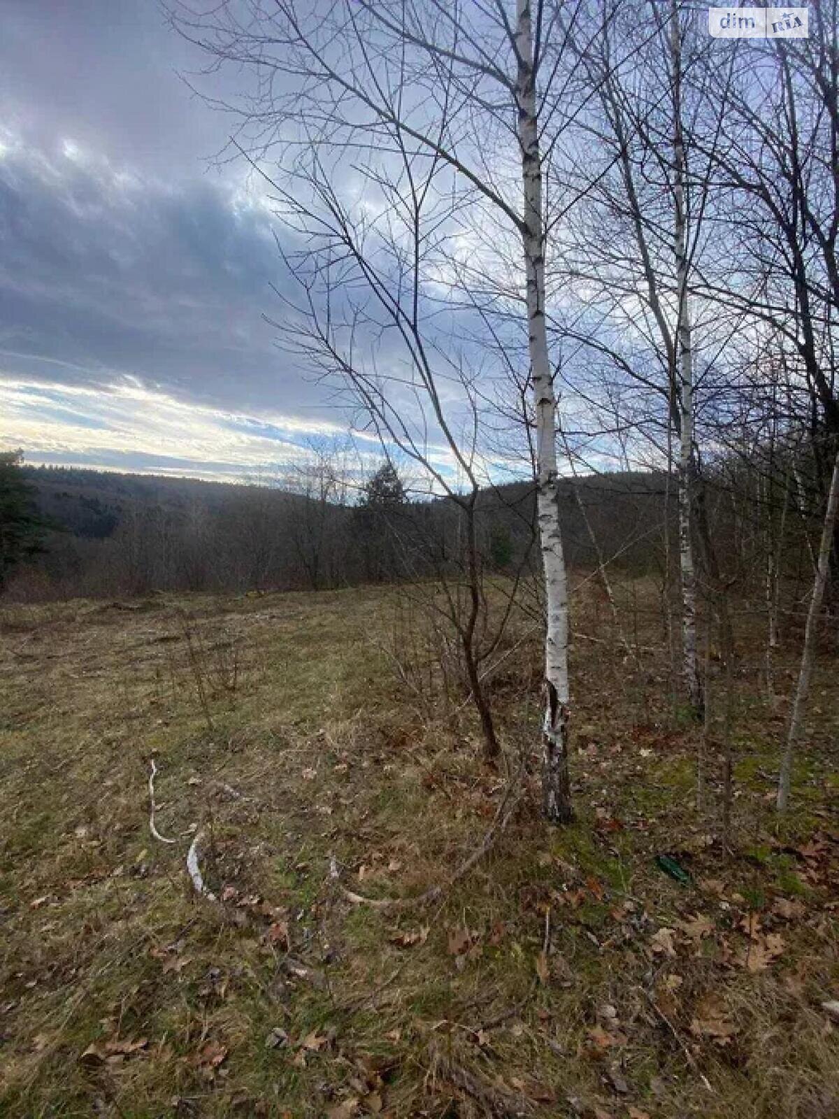 Земельна ділянка під житлову забудову в Бориславі, площа 32.14 сотки фото 1