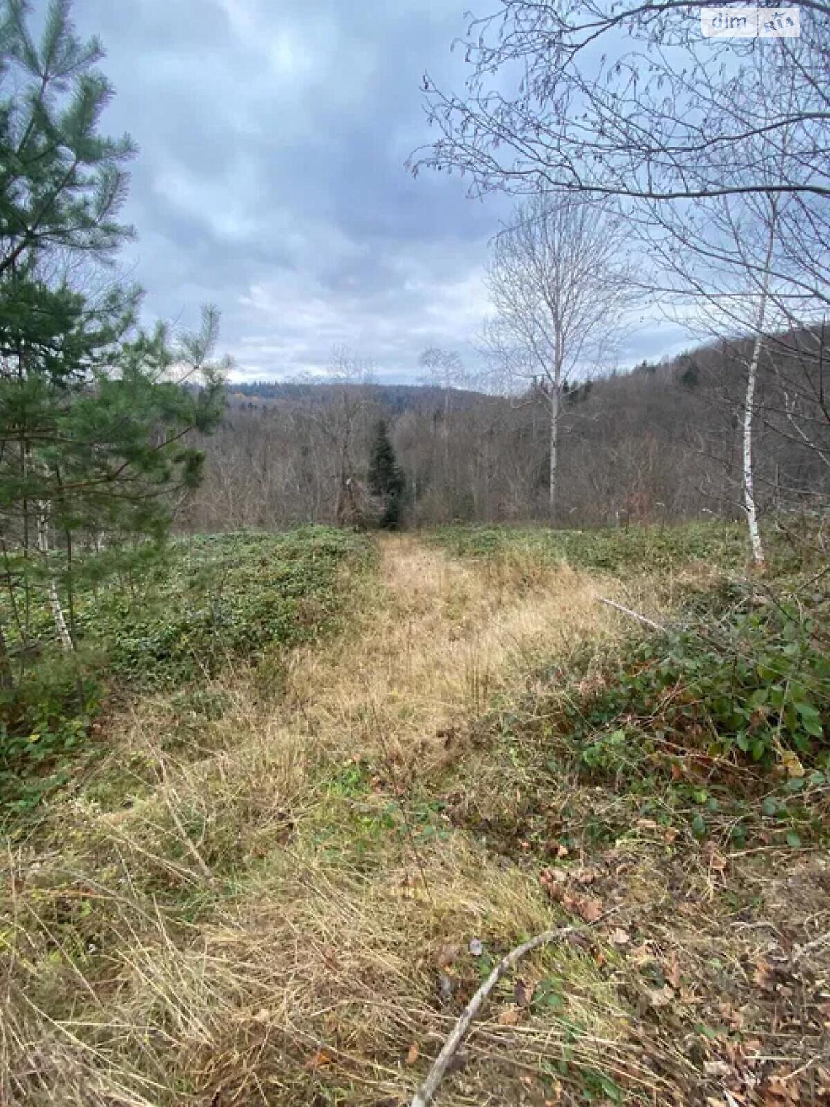 Земельна ділянка під житлову забудову в Бориславі, площа 32.14 сотки фото 1