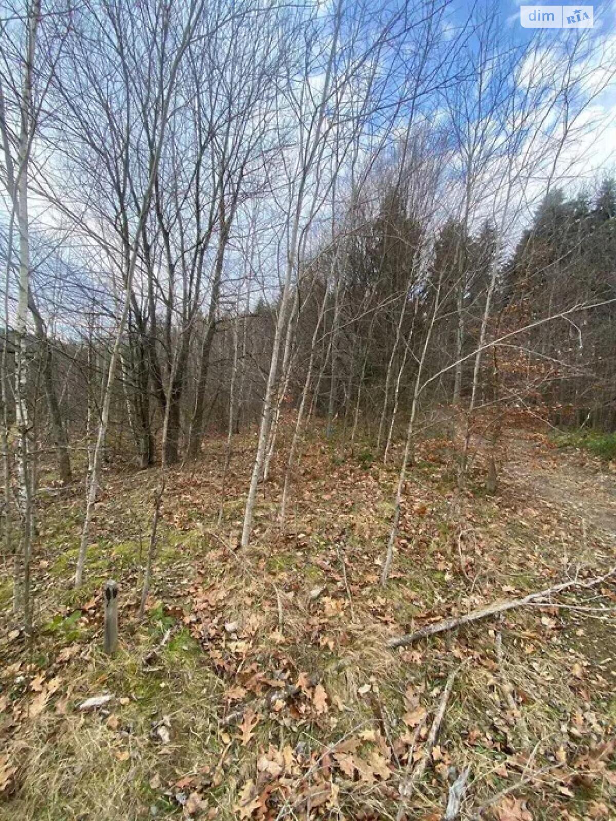 Земельна ділянка під житлову забудову в Бориславі, площа 8 соток фото 1