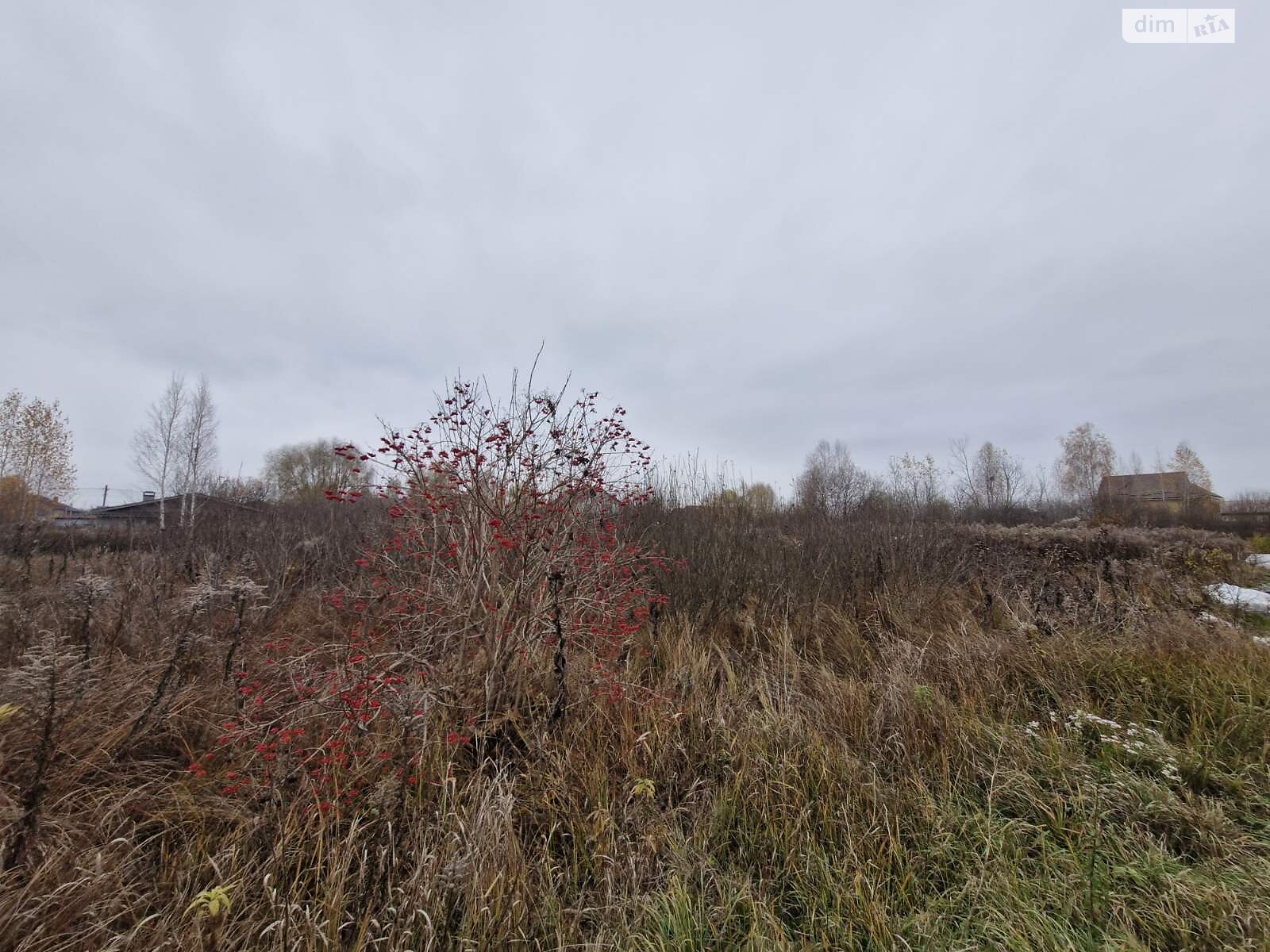 Земля под жилую застройку в Борисполе, район Борисполь, площадь 10 соток фото 1 Земля под жилую застройку в Борисполе, район Борисполь, площадь 10 соток фото 1