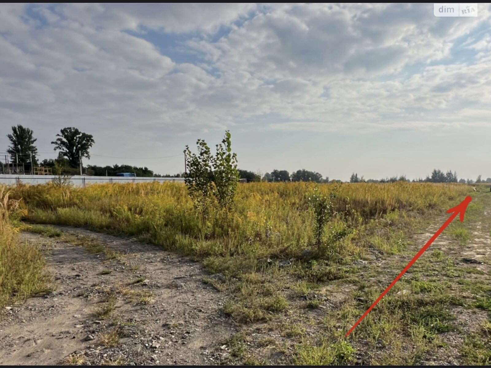 Земля під житлову забудову в Борисполі, район Бориспіль, площа 8 соток фото 1 Земля під житлову забудову в Борисполі, район Бориспіль, площа 8 соток фото 1