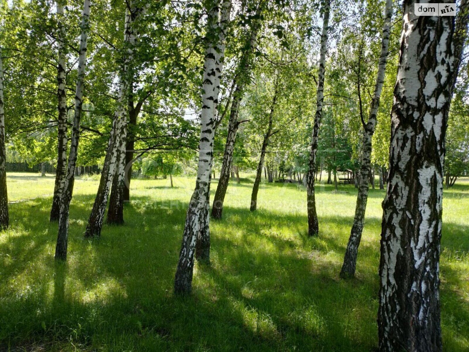 Земельна ділянка під житлову забудову в Гнідині, площа 200 соток фото 1