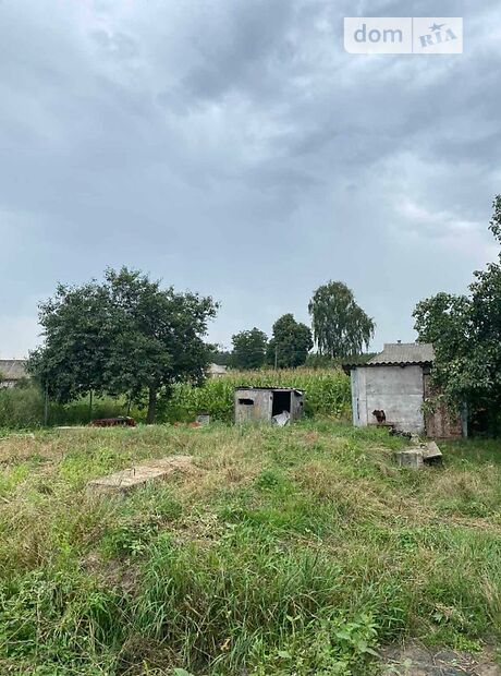 Земля під житлову забудову в селі Головурів, площа 11.1 сотки фото 1 Земля під житлову забудову в селі Головурів, площа 11.1 сотки фото 1