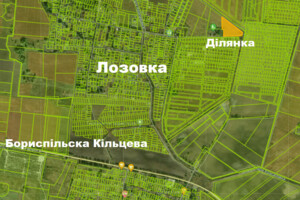 Земля под жилую застройку в Борисполе, район Лозовка, площадь 2 Га фото 2