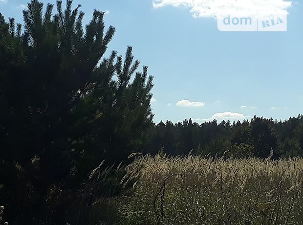 Продажа участка под жилую застройку, Киевская, Борисполь, c. Процев Продажа участка под жилую застройку, Киевская, Борисполь, c. Процев