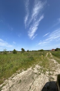 Земельна ділянка під житлову забудову в Бірках, площа 12 соток фото 2