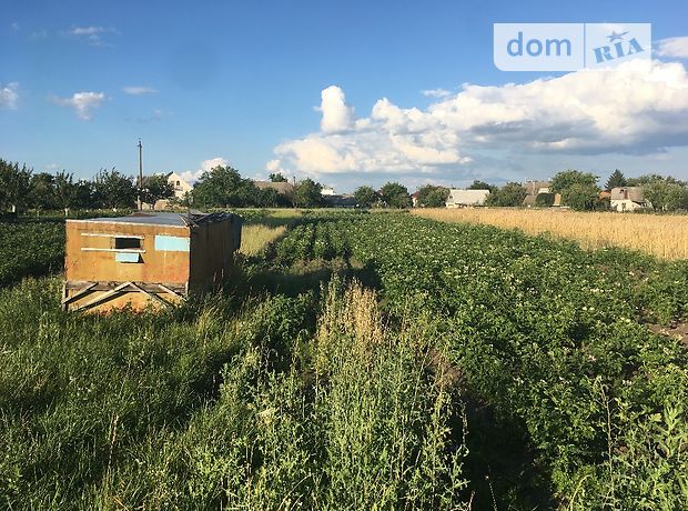Продажа участка под жилую застройку, Киевская, Бородянка, р‑н. Бородянка, сельскохозяйственная Продажа участка под жилую застройку, Киевская, Бородянка, р‑н. Бородянка, сельскохозяйственная
