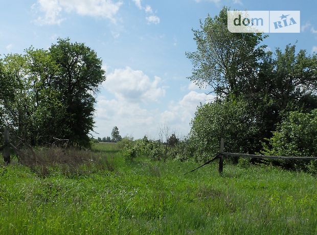 Продажа участка под жилую застройку, Киевская, Бородянка, р‑н. Бородянка, Стара Буда Продажа участка под жилую застройку, Киевская, Бородянка, р‑н. Бородянка, Стара Буда
