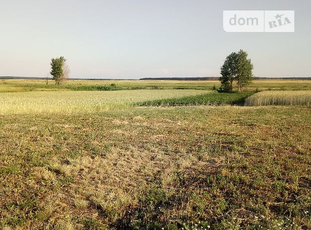 Продажа участка под жилую застройку, Киевская, Бородянка, c. Дружня Продажа участка под жилую застройку, Киевская, Бородянка, c. Дружня