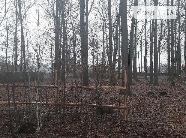 Продажа участка под жилую застройку, Киевская, Бородянка, c. Клавдиево-Тарасово, Михаила Коцюбинского улица Продажа участка под жилую застройку, Киевская, Бородянка, c. Клавдиево-Тарасово, Михаила Коцюбинского улица