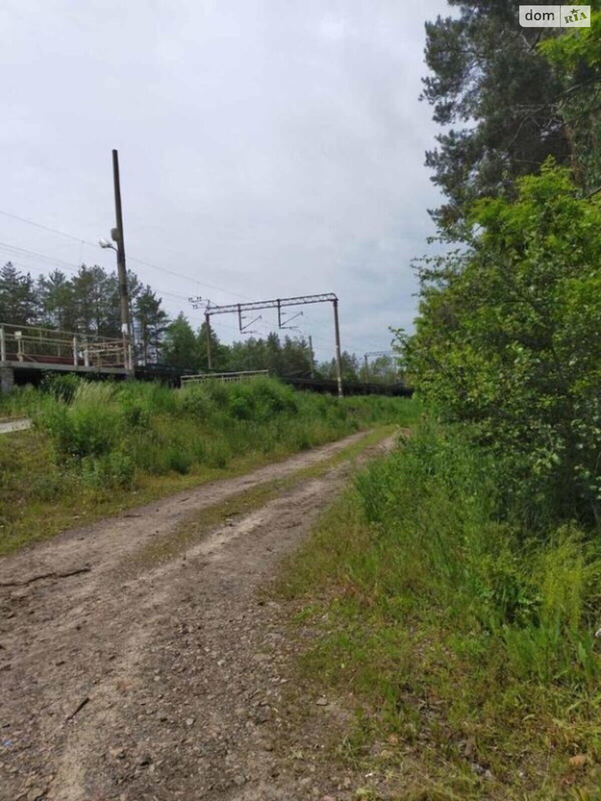 Земельна ділянка під житлову забудову в Пилиповичах, площа 25 соток фото 1