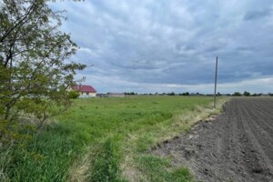 Земельна ділянка під житлову забудову в Борохові, площа 24 сотки фото 2