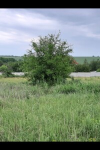 Земельный участок под жилую застройку в Братском, площадь 12.5 сотки фото 2