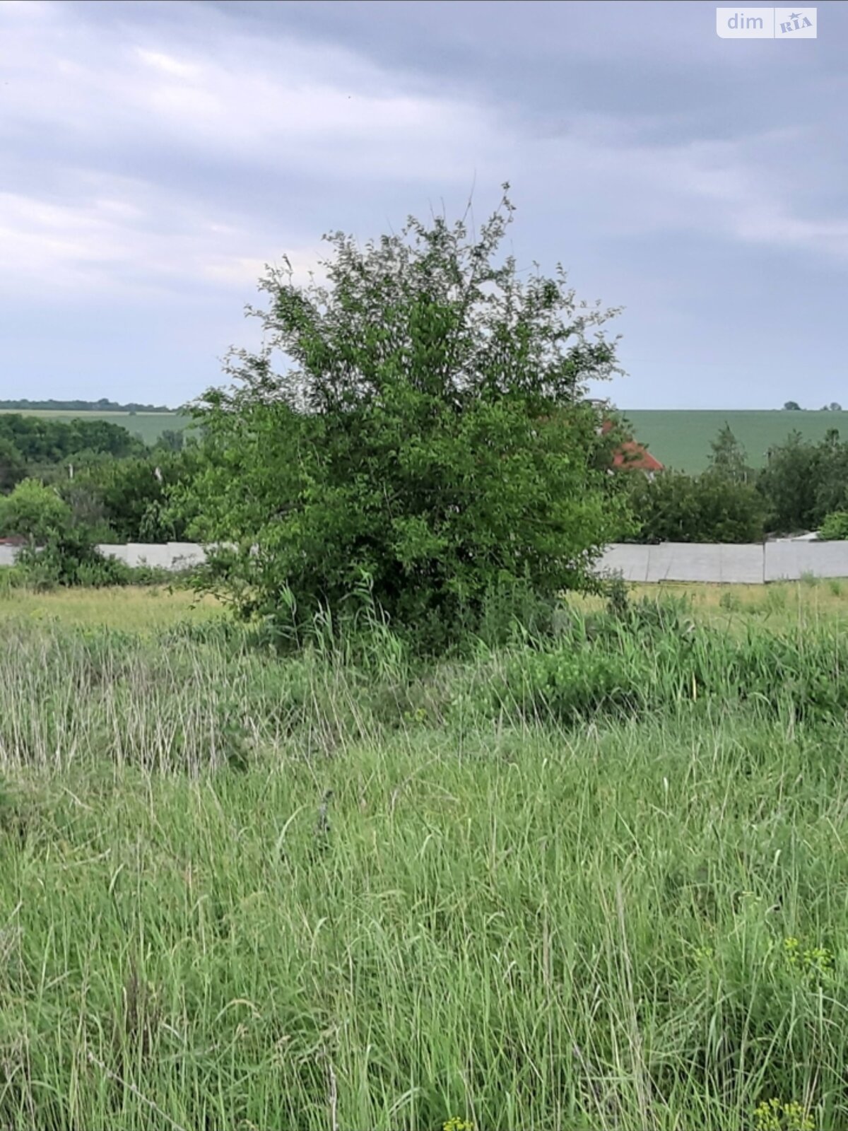 Земельный участок под жилую застройку в Братском, площадь 12.5 сотки фото 1