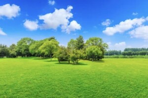 Земельна ділянка під житлову забудову в Братському, площа 10 соток фото 2