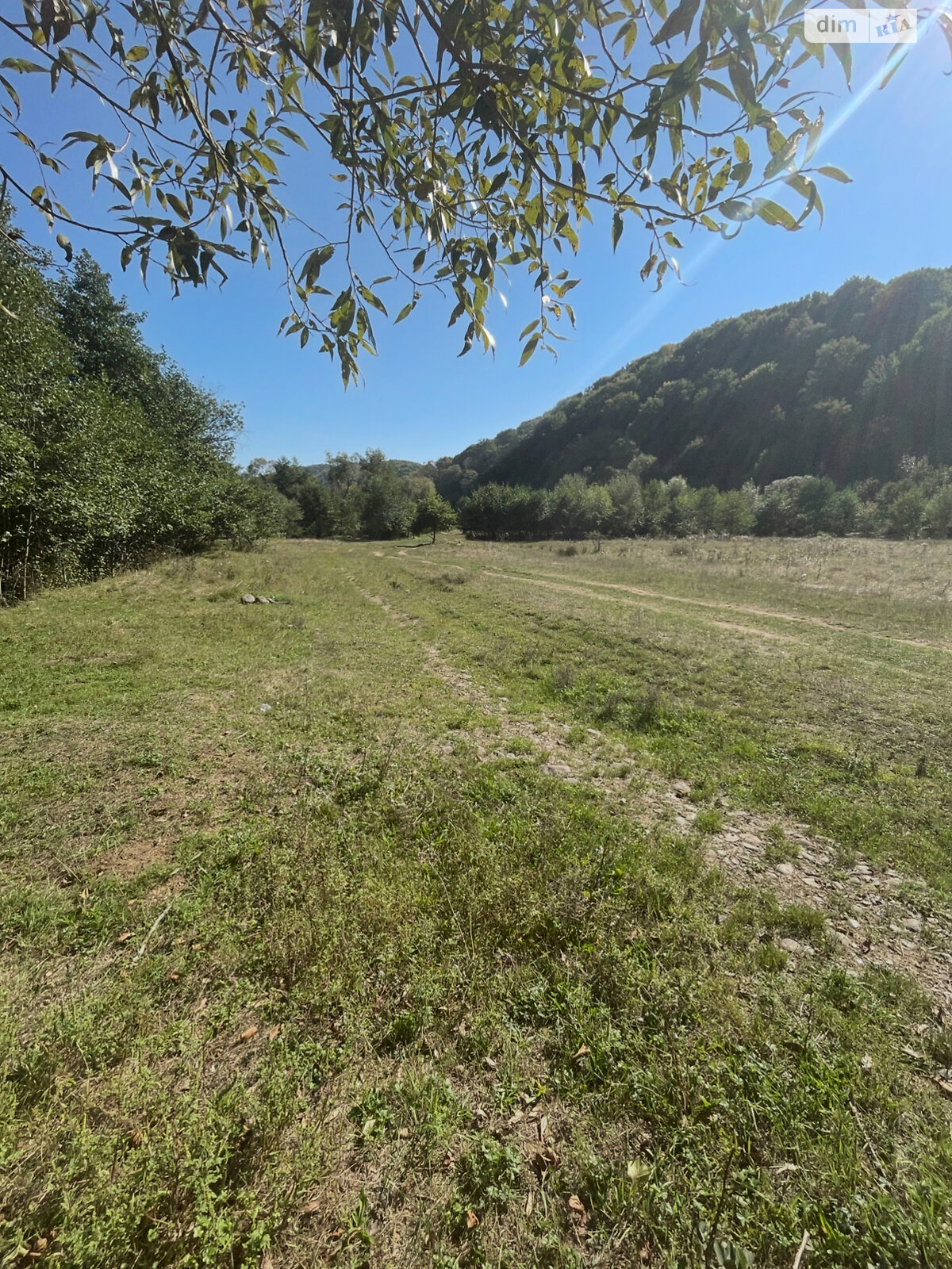 Земельна ділянка під житлову забудову в Броді, площа 10 соток фото 1
