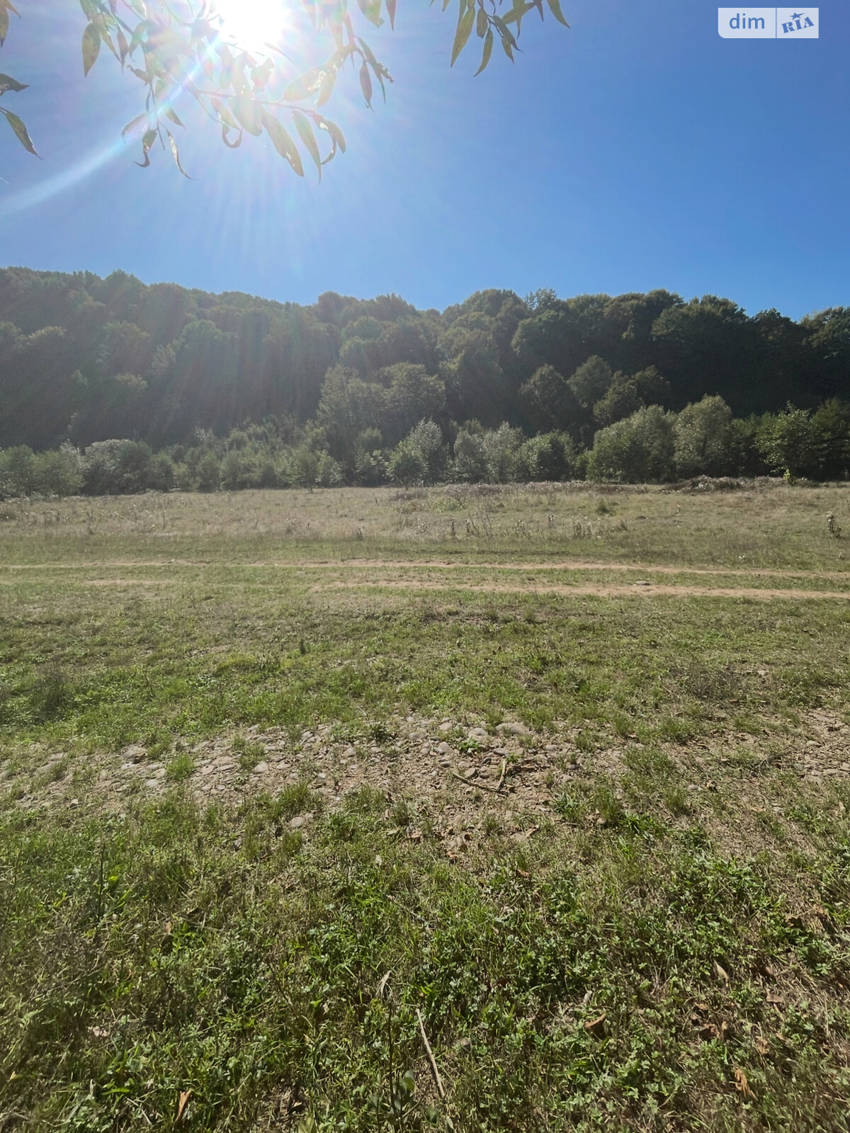 Земельна ділянка під житлову забудову в Броді, площа 10 соток фото 1