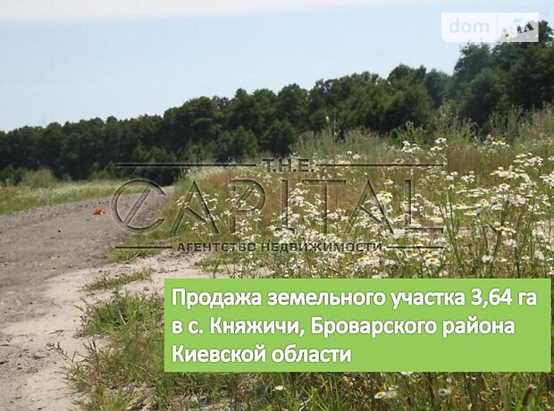 Земля под жилую застройку в селе Княжичи, площадь 364 сотки фото 1 Земля под жилую застройку в селе Княжичи, площадь 364 сотки фото 1