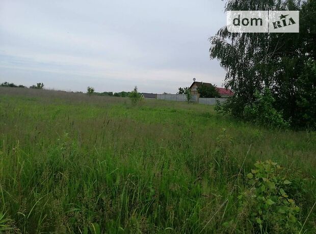Земля під житлову забудову в селі Красилівка, площа 20 соток фото 1 Земля під житлову забудову в селі Красилівка, площа 20 соток фото 1