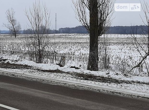 Земля под жилую застройку в селе Литочки, площадь 95 соток фото 1 Земля под жилую застройку в селе Литочки, площадь 95 соток фото 1