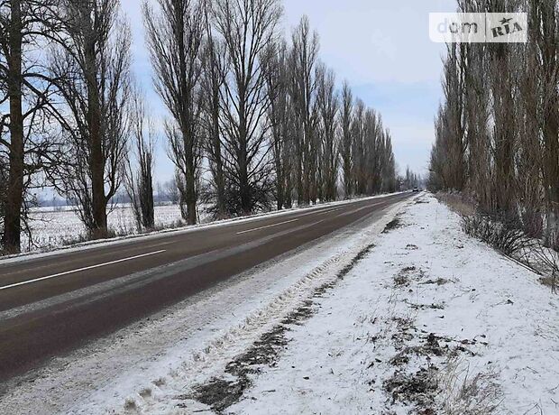 Земля под жилую застройку в селе Литочки, площадь 95 соток фото 1 Земля под жилую застройку в селе Литочки, площадь 95 соток фото 1