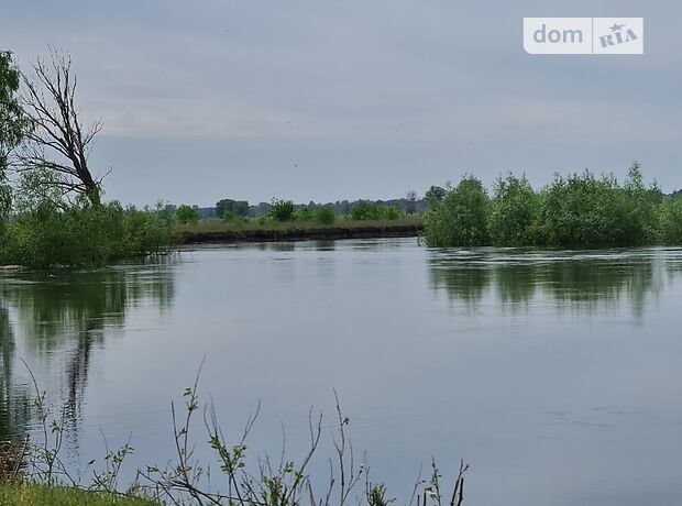 Земля під житлову забудову в селі Літочки, площа 22 сотки фото 1 Земля під житлову забудову в селі Літочки, площа 22 сотки фото 1