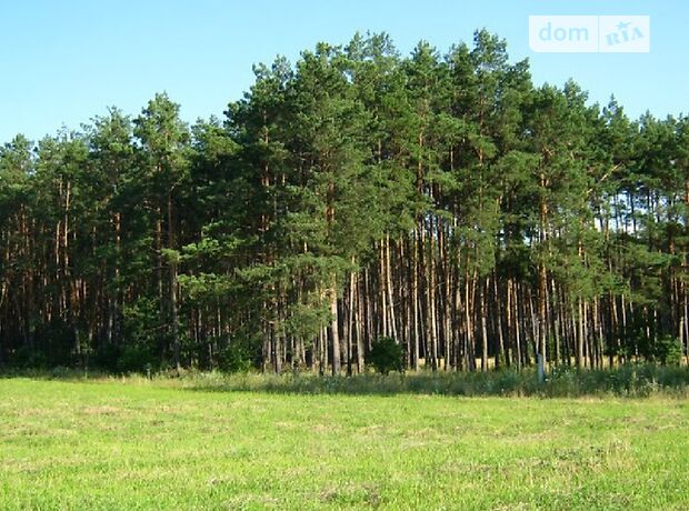 Земля під житлову забудову в селі Рожівка, площа 10 соток фото 1 Земля під житлову забудову в селі Рожівка, площа 10 соток фото 1
