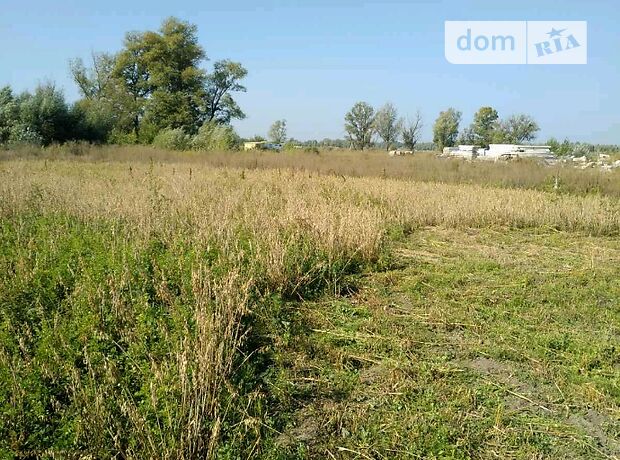 Земля під житлову забудову в селі Зазим’я, площа 10 соток фото 1 Земля під житлову забудову в селі Зазим’я, площа 10 соток фото 1