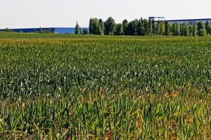 Земельна ділянка під житлову забудову в Броварах, площа 2.0002 Га фото 2